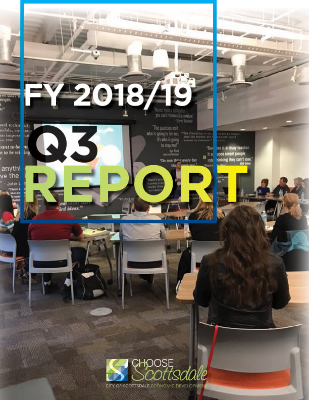 Cover image of 2018-19 Q3 report