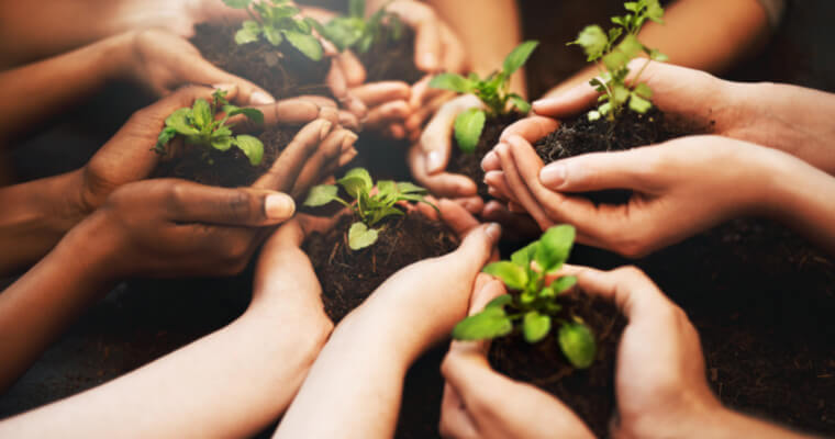 hands holding soil and a plant