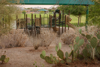 Sonoran Hills Park Playground
