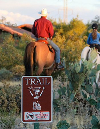 two horse being ridden on a neighborhood trail