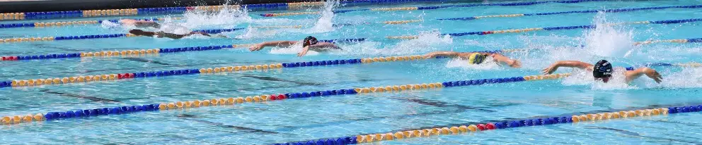 Scottsdale Aquatics