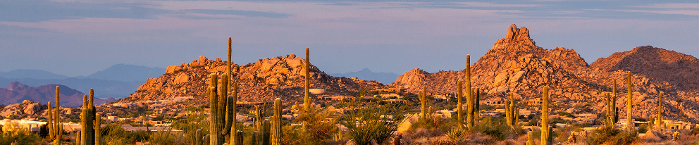North Scottsdale desert sunrise