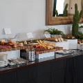 A catered buffet with charcuterie boards, cheeses, fruit, crackers, olives and salads, decorated with cacti and succulents.