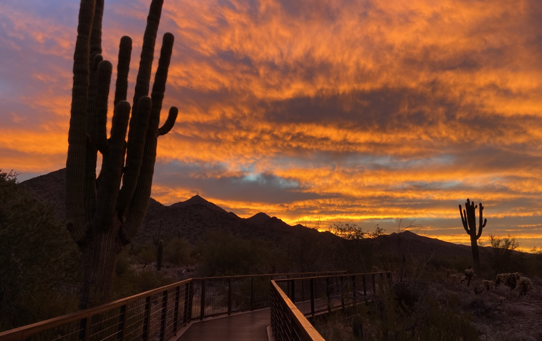 Scottsdale advances preserve protection, visitor experience in 2025 image
