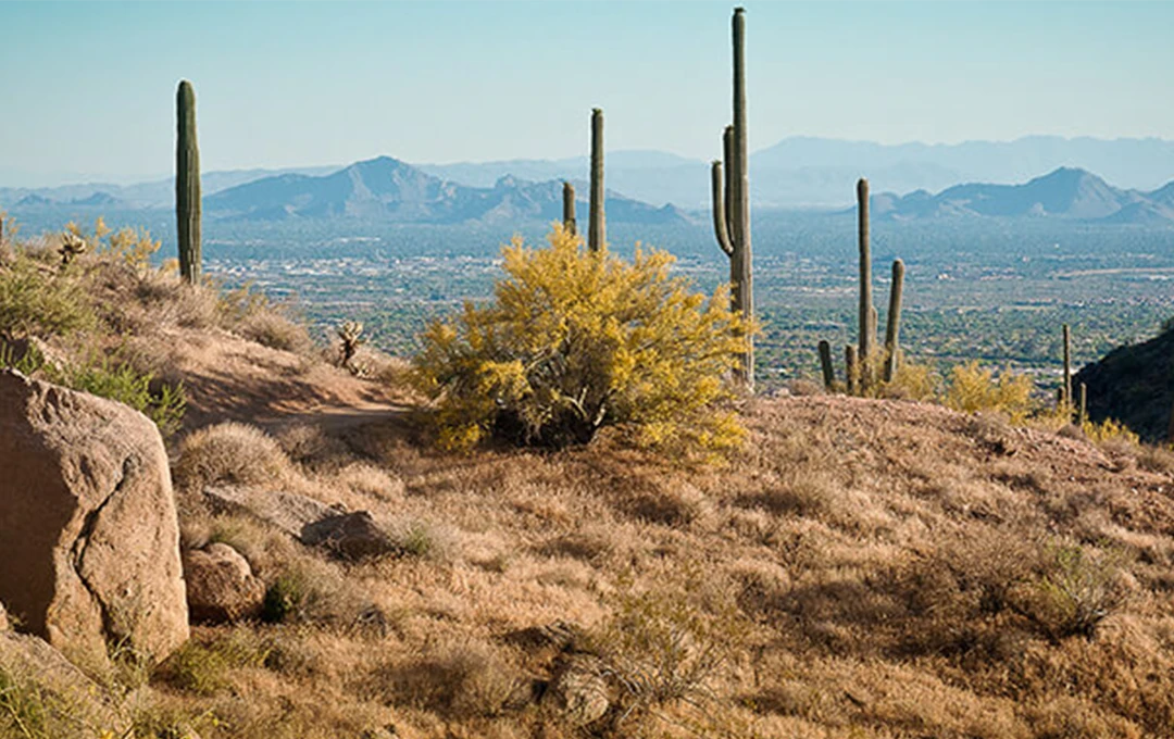 Image of McDowell Sonoran Preserve