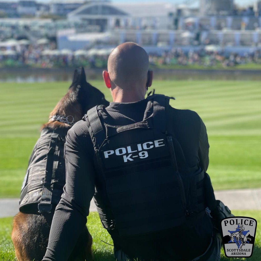 PoliceK9handlersittingongrassbesideaworkingdogbothwearinglabeledvestsoverlookingalargeeventcrowdandgreenfield