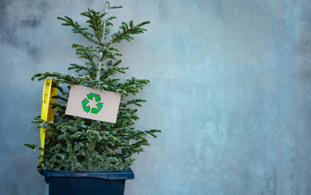 Image of Holiday Collection Schedule