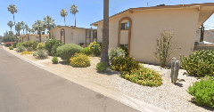 Apartment buildings with desert landscaping along a curb, featuring gravel ground cover, palm trees, cacti, shrubs, and flowering plants under a clear blue sky.
