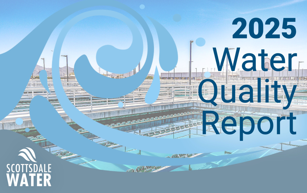 Image of Water Quality Reports