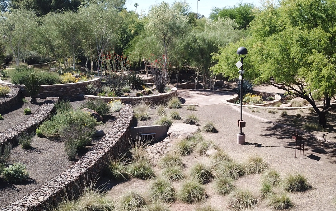 Image of Xeriscape Garden